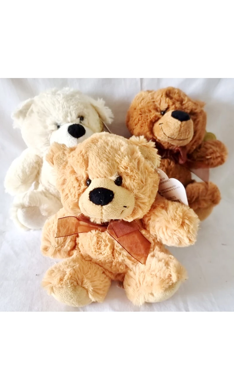 Snuggle Your Cuddly Friend Teddy Bear Soft Toy - 18x14cm