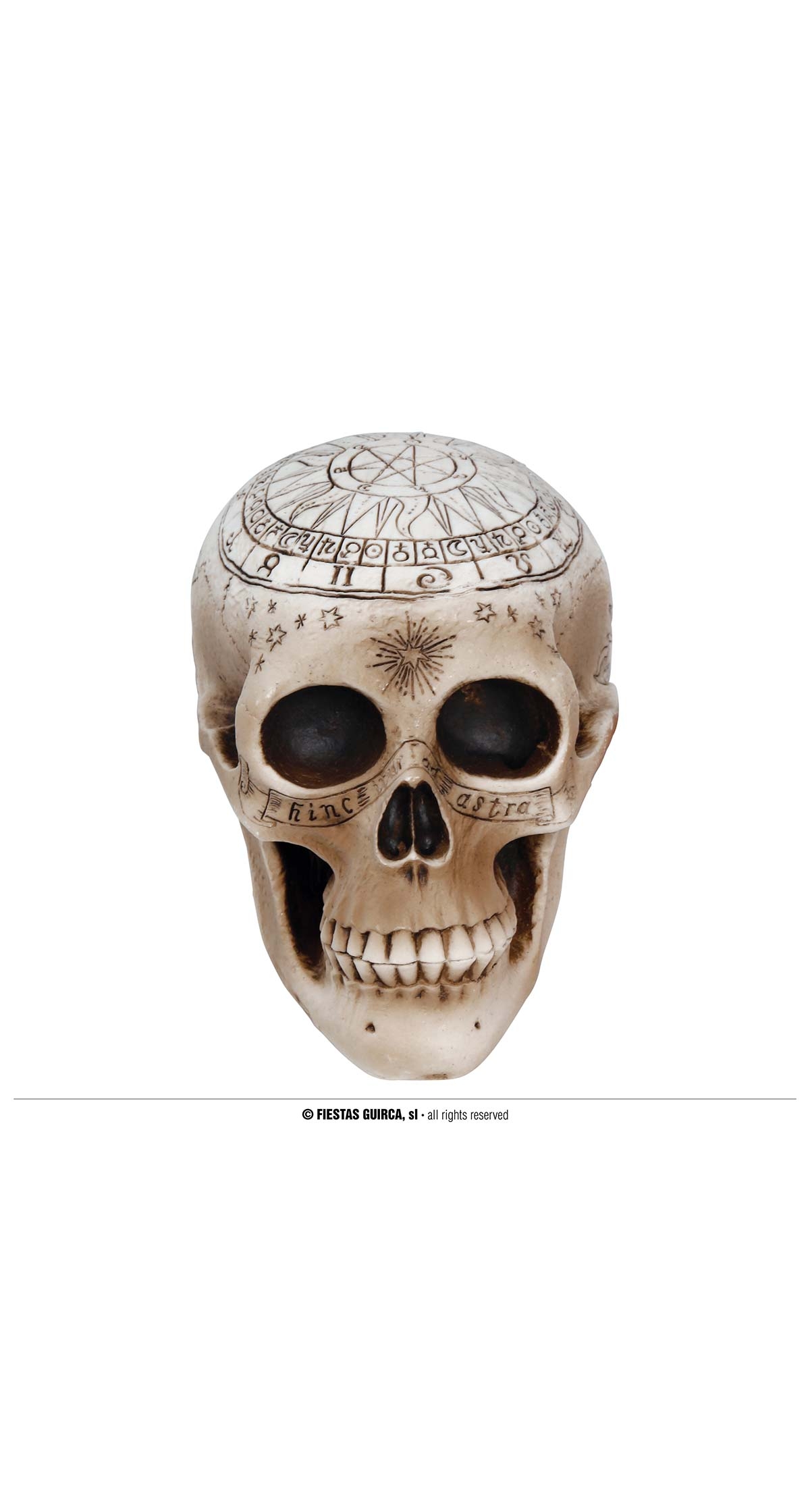 Halloween Decoration Black Magic Skull 20cm