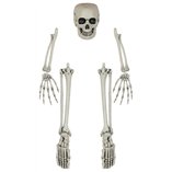 Skeleton Bone Set 5 Pieces
