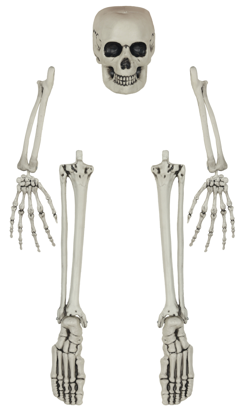 Halloween Skeleton Bone Set 5 Pieces