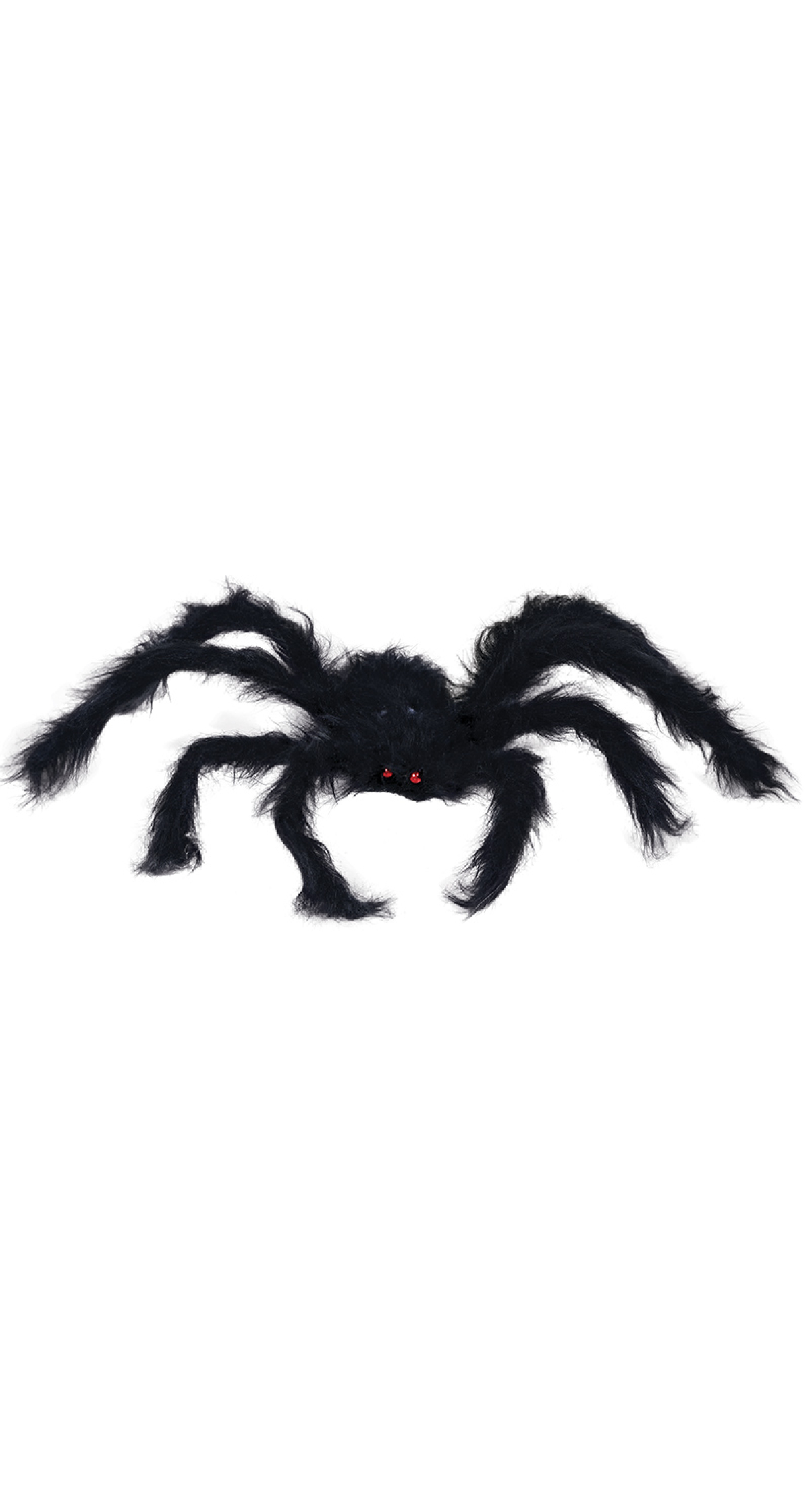 Halloween Black Spider 150cm