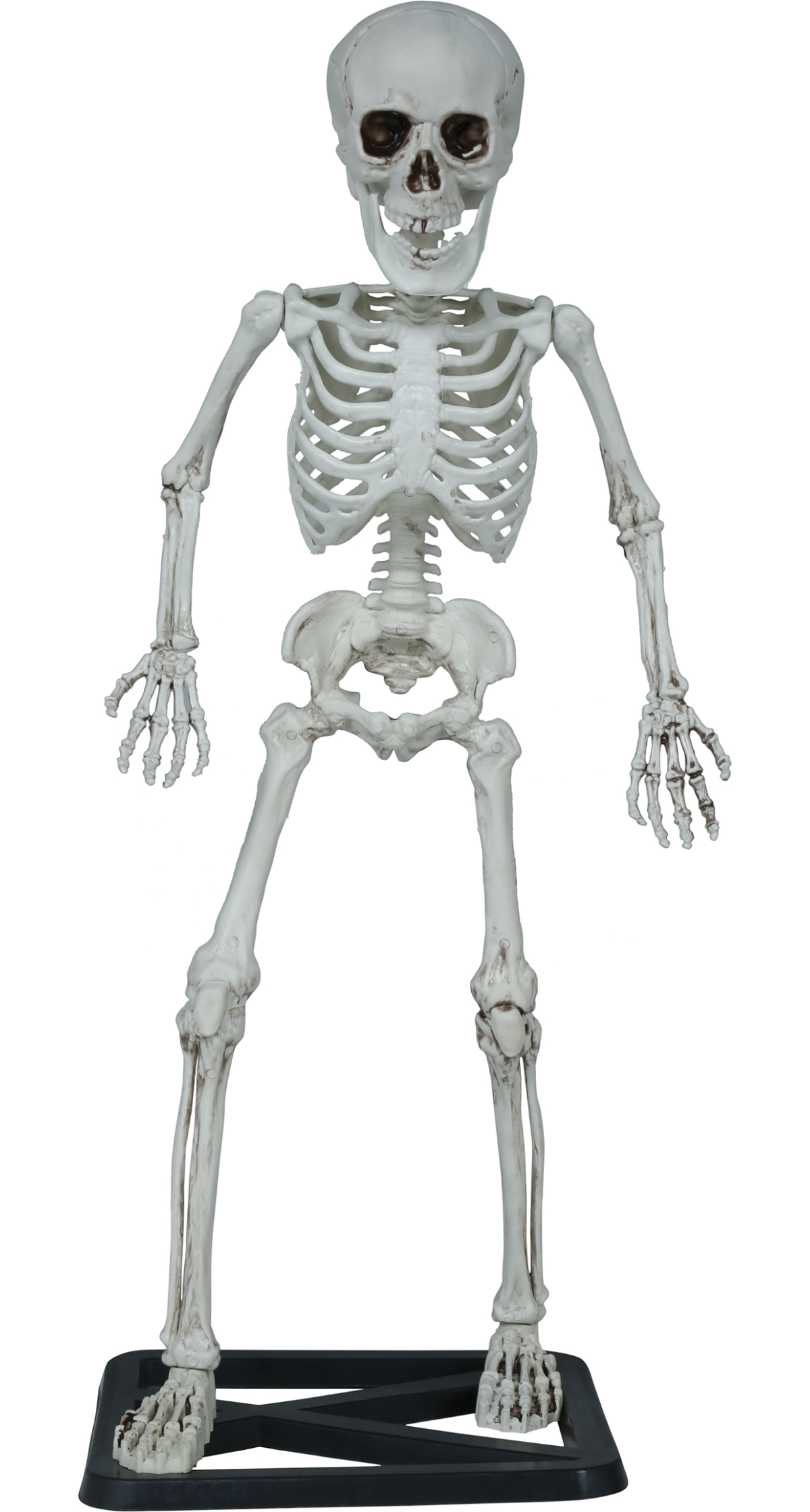 Halloween Standing Skeleton Prop Decoration 55cm