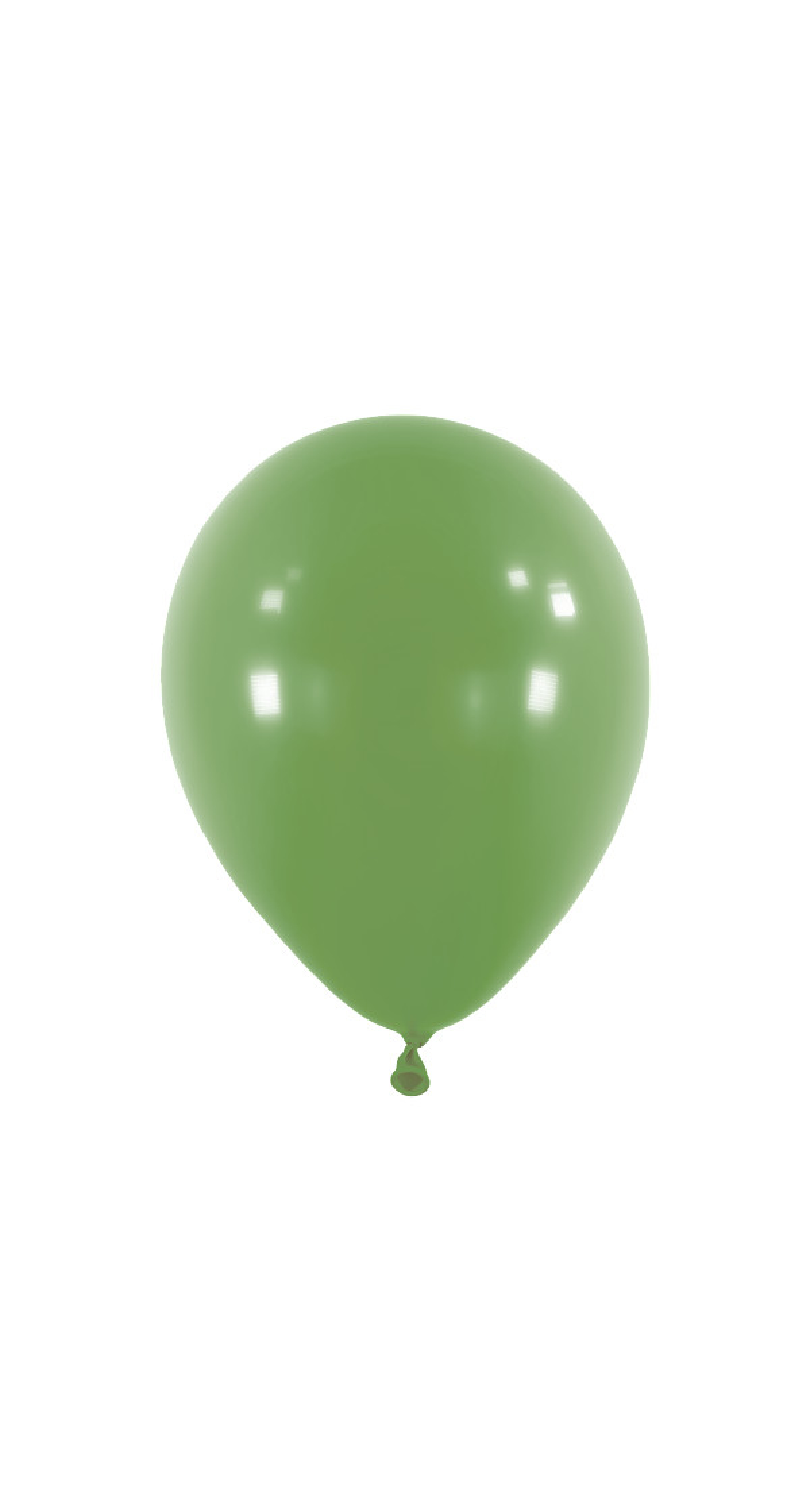 Anagram Latex Balloon - Fashion Eucalyptus  11" RND - 50pcs