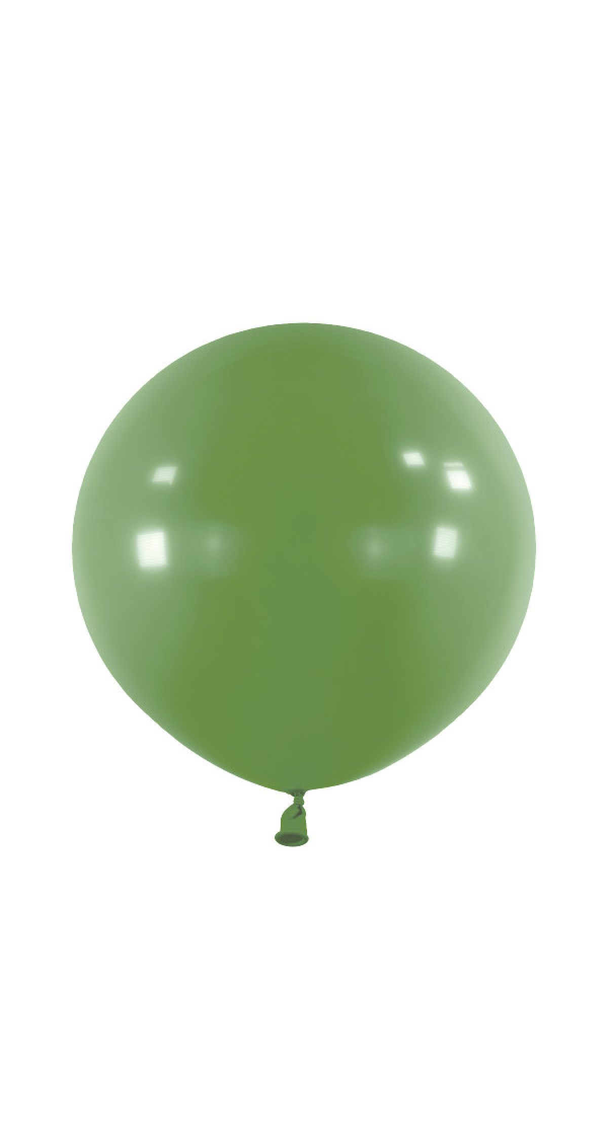 Anagram Latex Balloon - Fashion Eucalyptus  24" RND - 4pcs