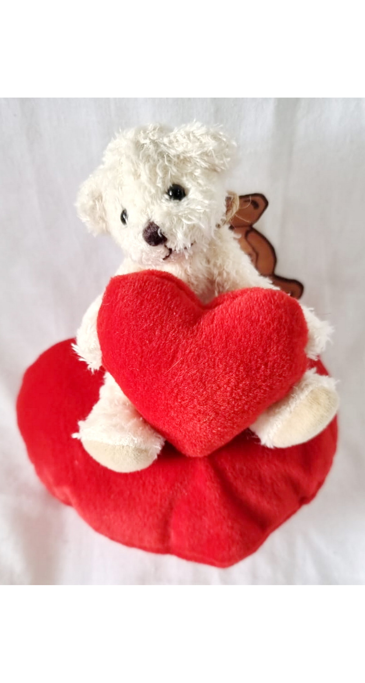 White Teddy Bear With Red Heart - 16x12