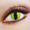 Contact Lenses Devilish Cat (1 Pair) - 12 Month Use