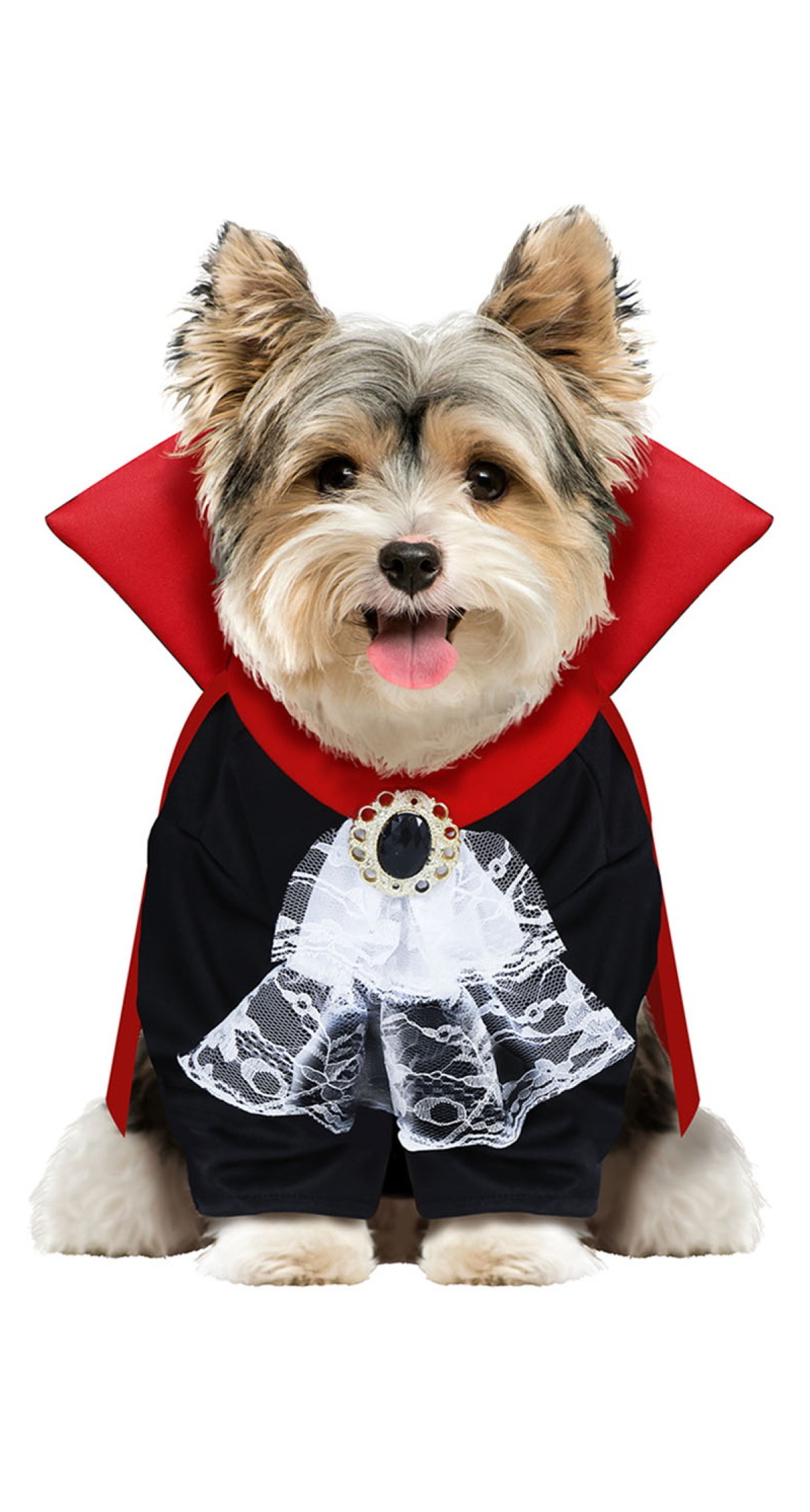Vampire Dog Costume - Pet Size Medium