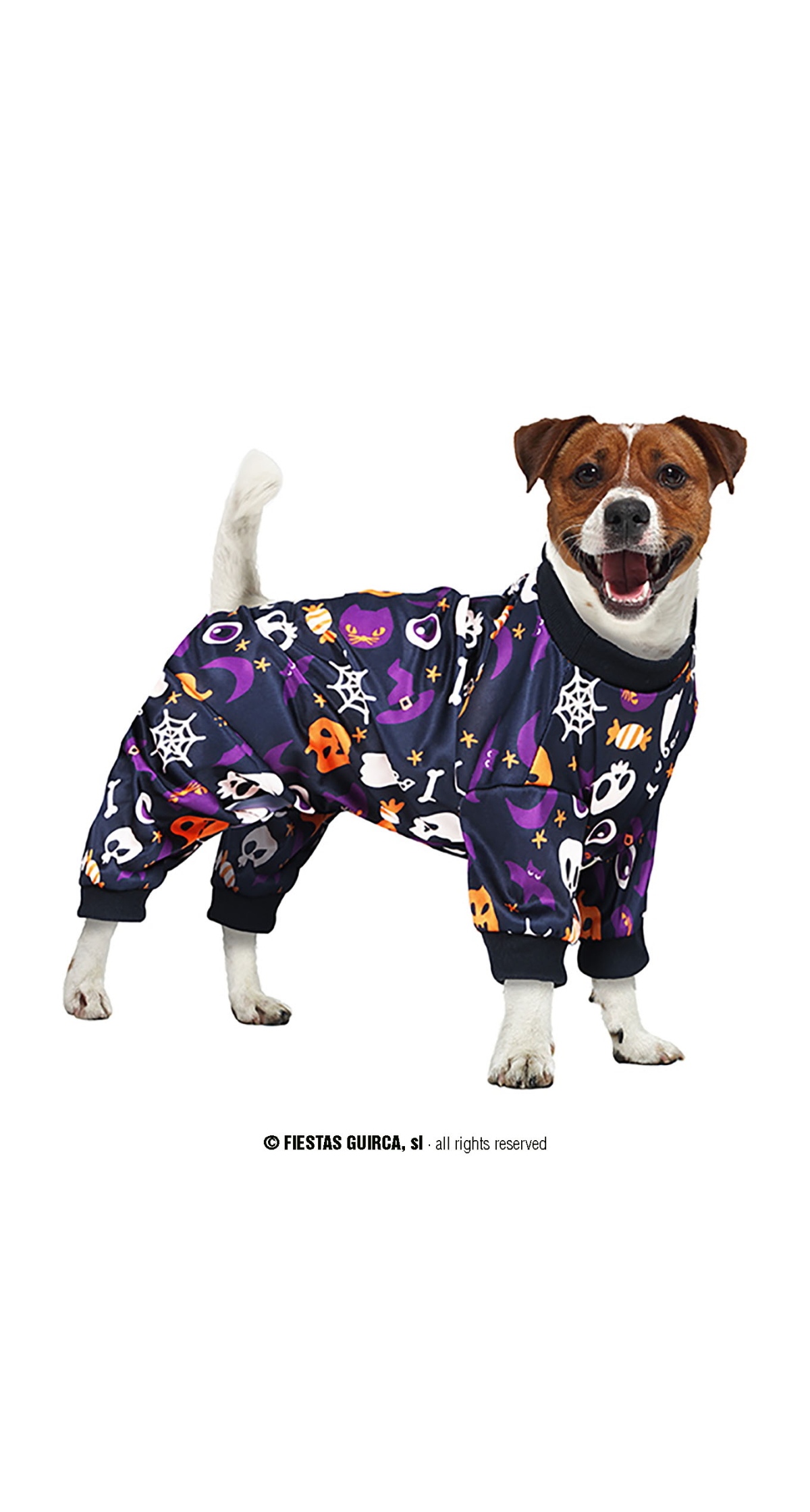 Halloween Dog Costume - Pet Size Small