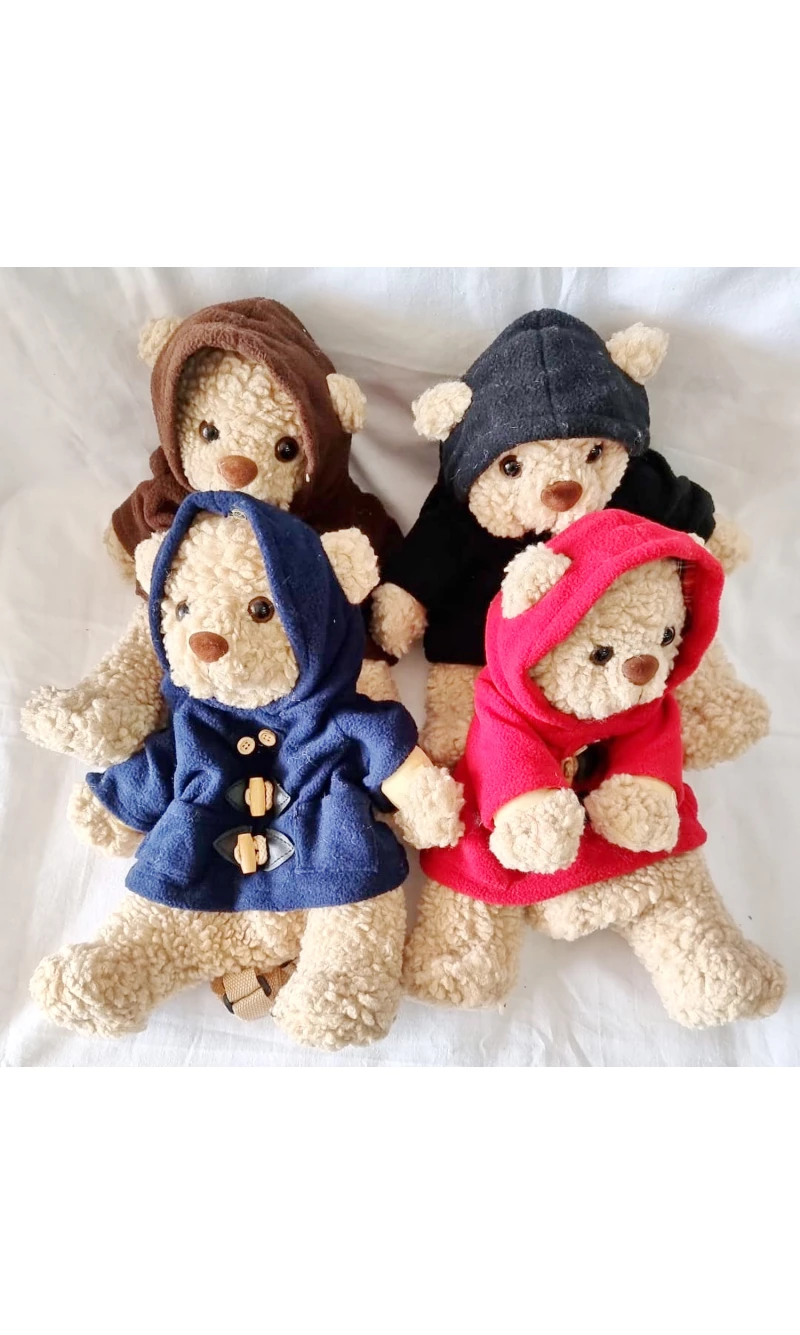 Champ Collection Teddy Bear With Hoodie Backpack Assorted Colors - 32x20cm