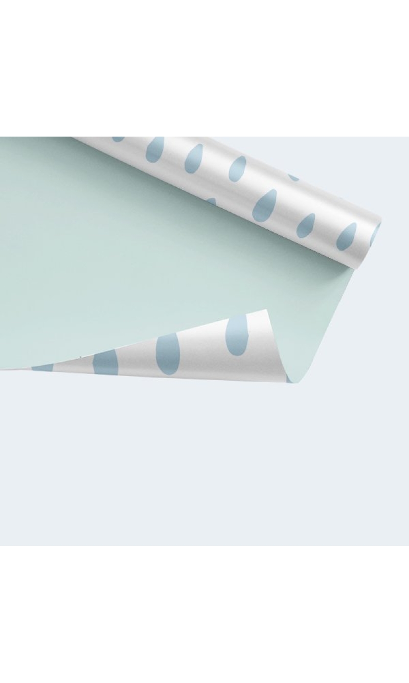Wrapping Paper Single Sheet