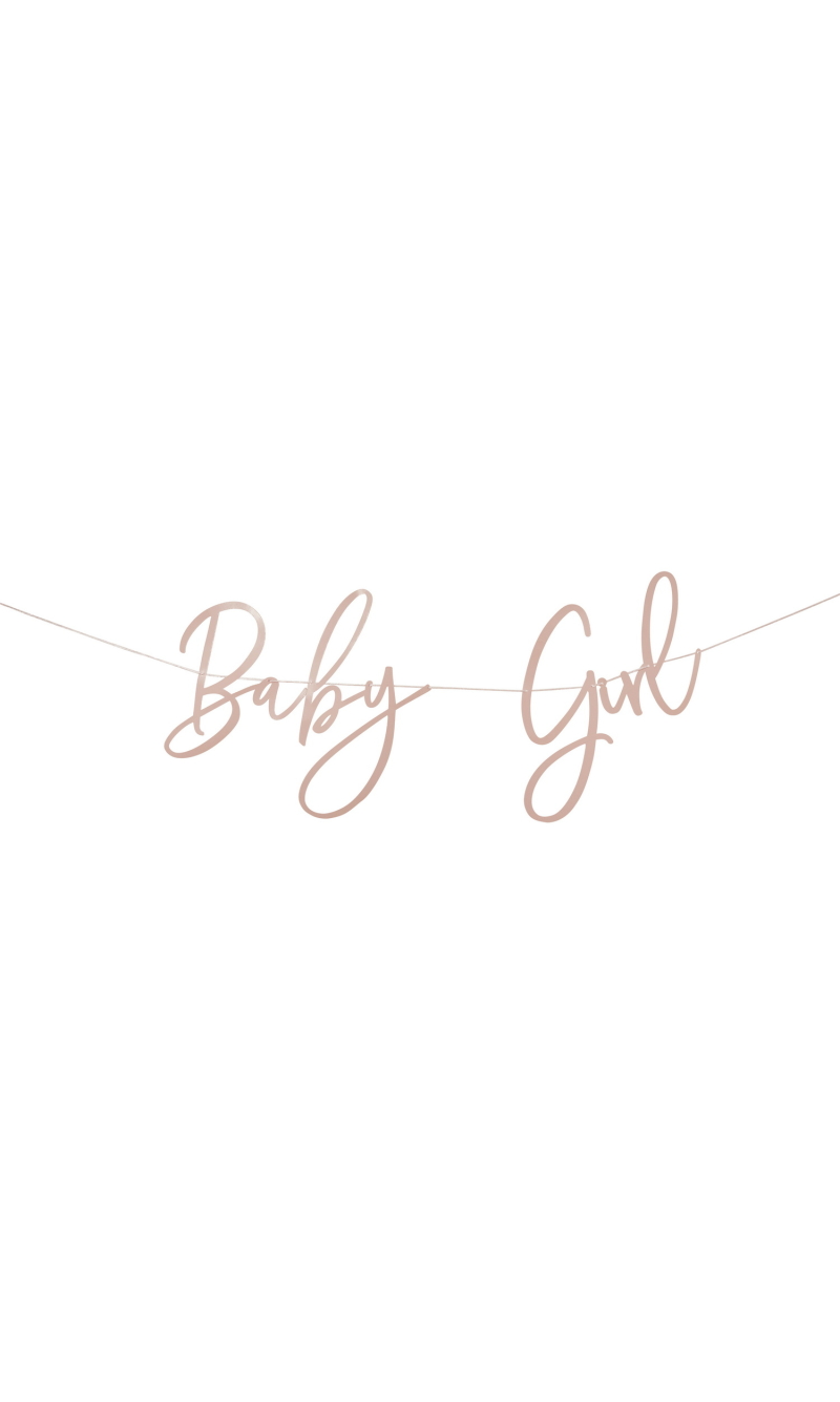 Pink Baby Girl Banner 2M