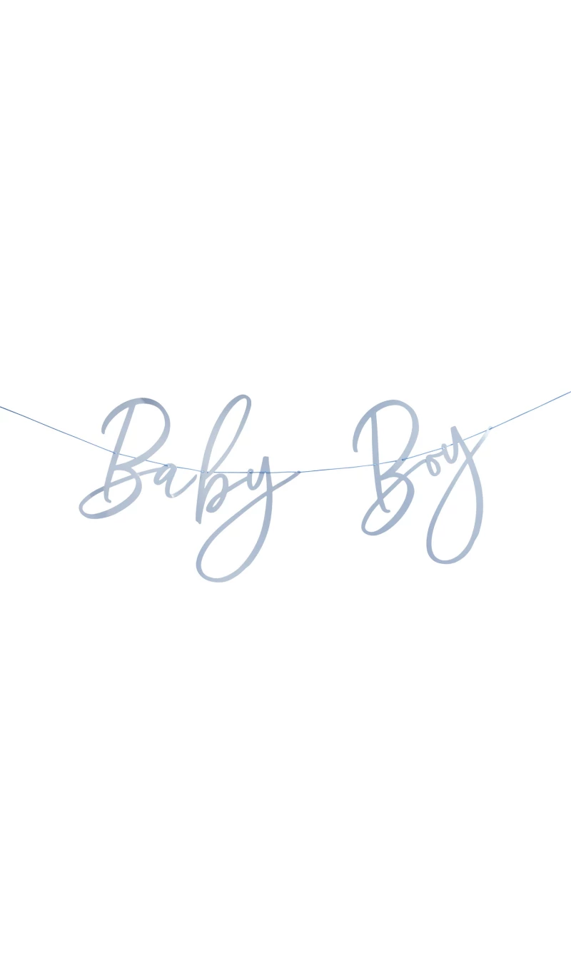 Blue Baby Boy Banner 2M