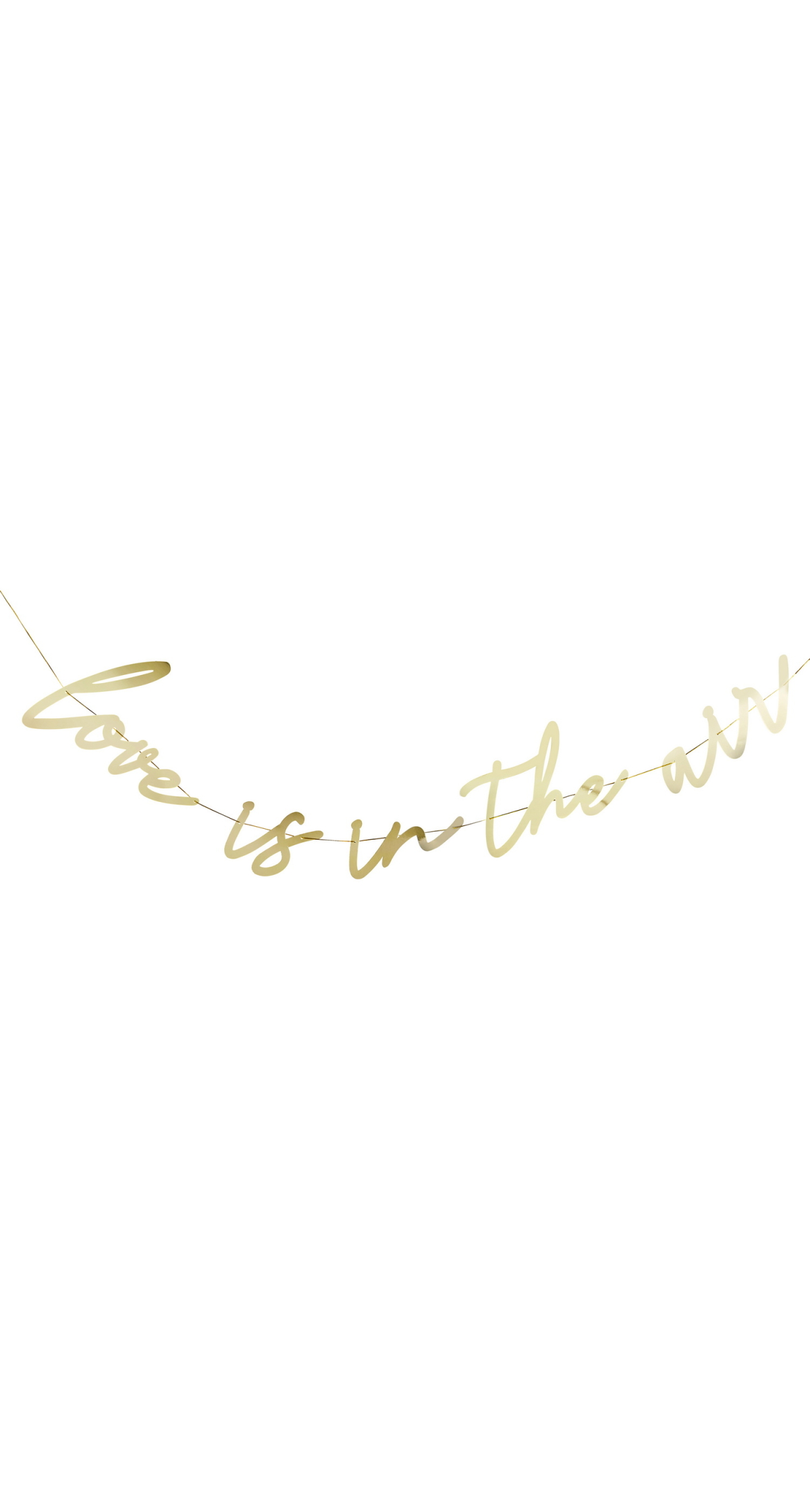 Love Is In The Air Banner (L)2M - Image 2