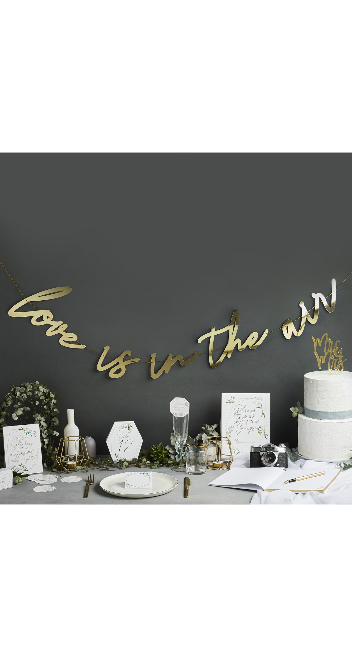 Love Is In The Air Banner (L)2M