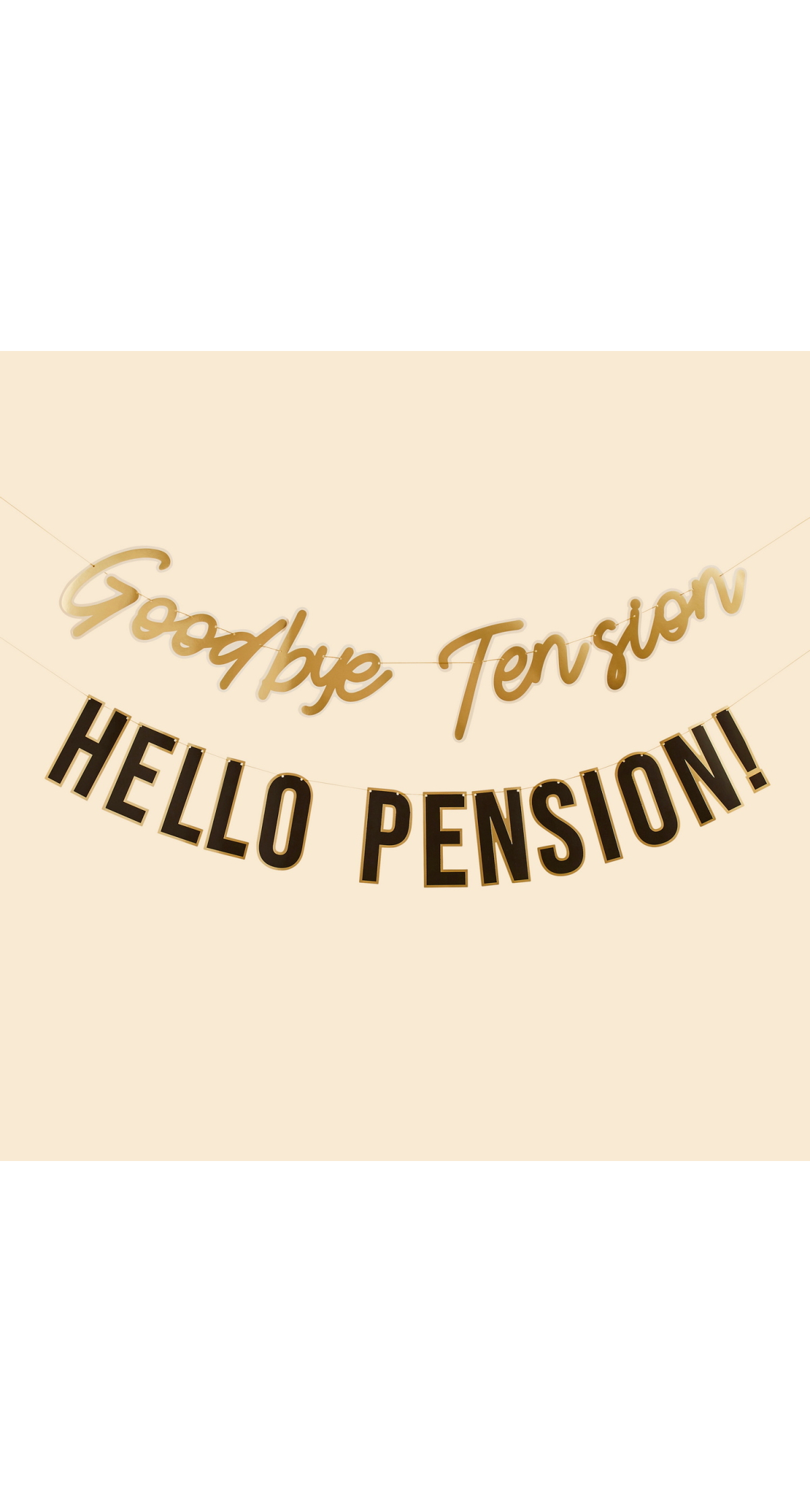 Goodbye Tension Hello Pension Banner 2M - Image 3