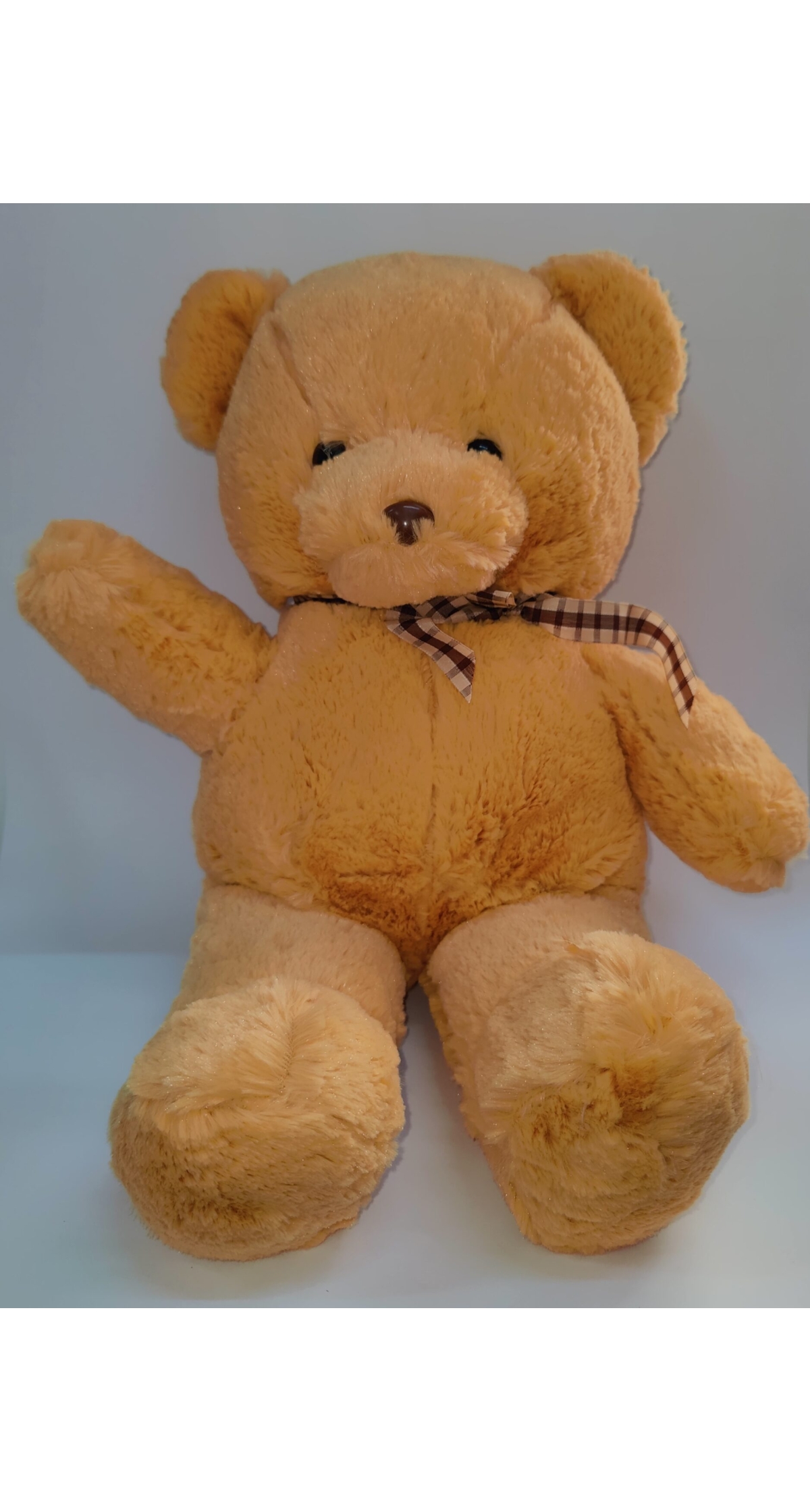 Plush Teddy Bear - 53cmx23cm