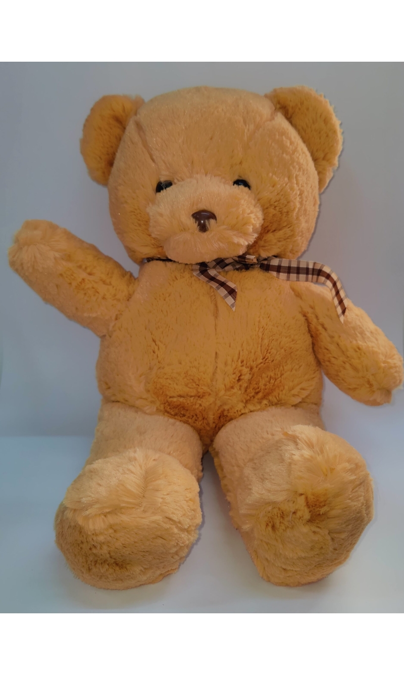 Plush Teddy Bear - 53cmx23cm