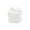 Boxes With A Ribbon White (1pkt / 10pc)