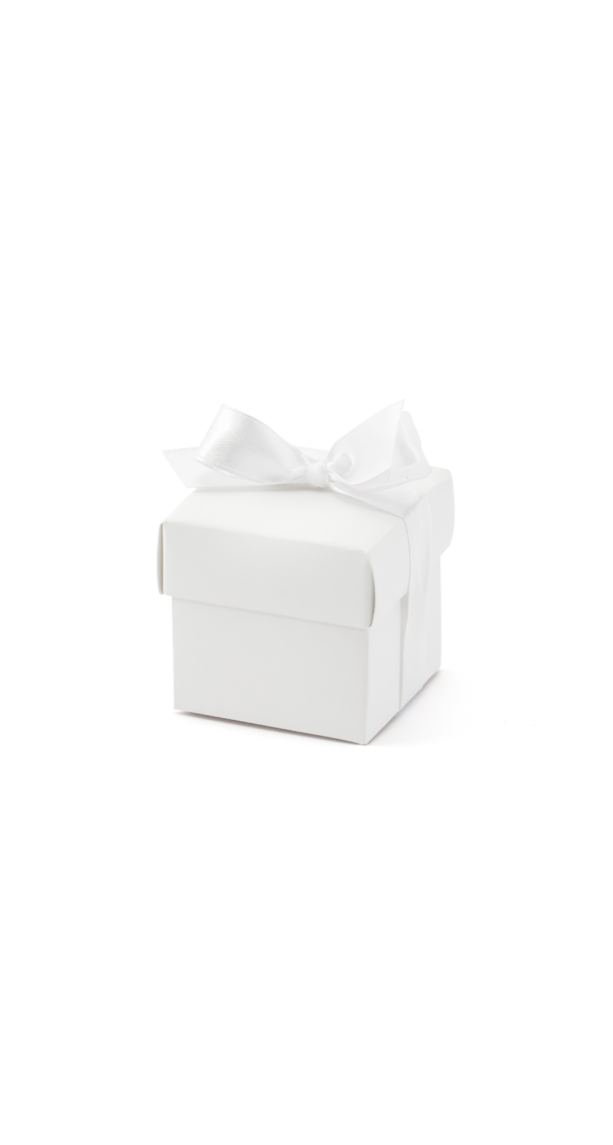 Boxes With A Ribbon White (1pkt / 10pc)