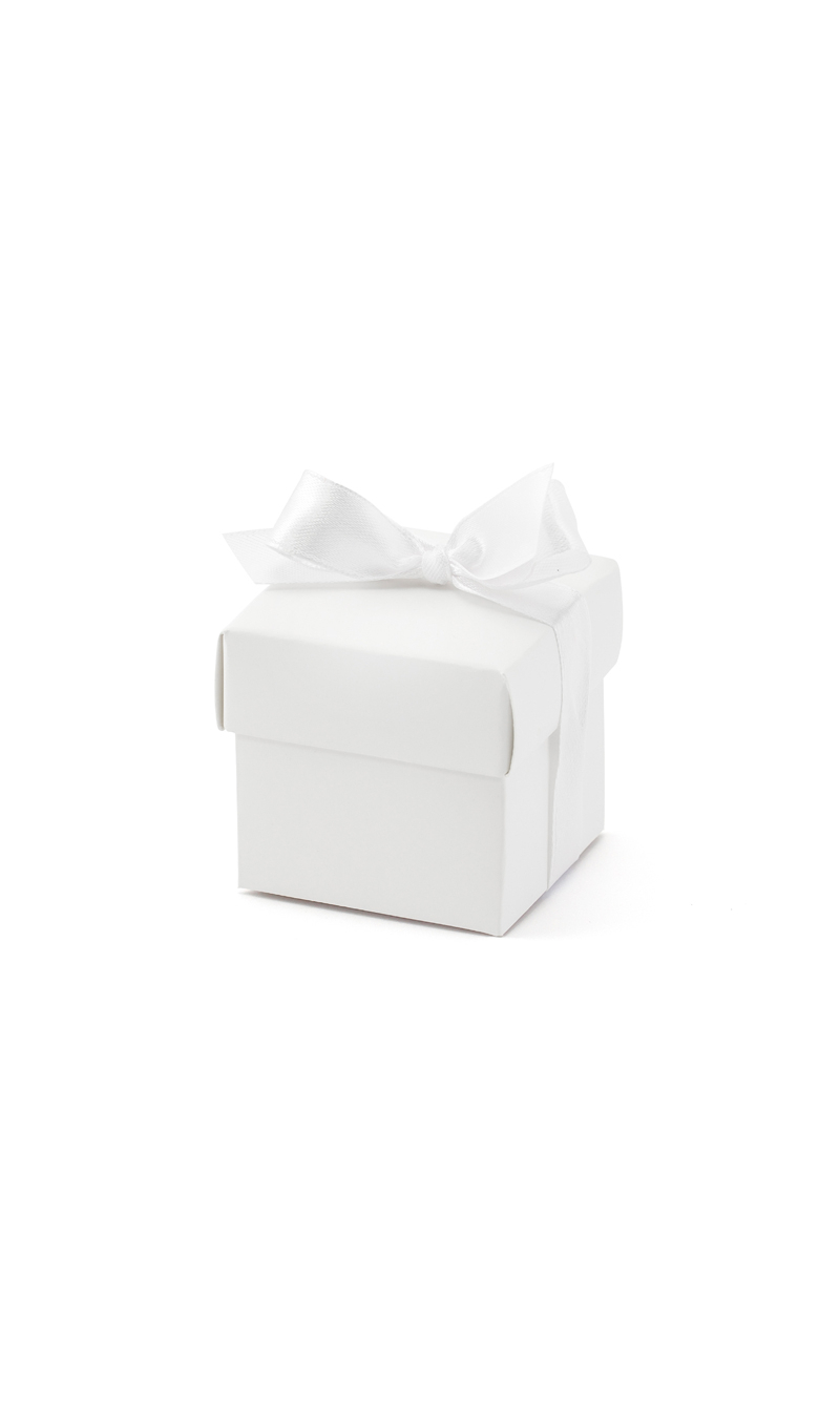 Boxes With A Ribbon White (1pkt / 10pc)