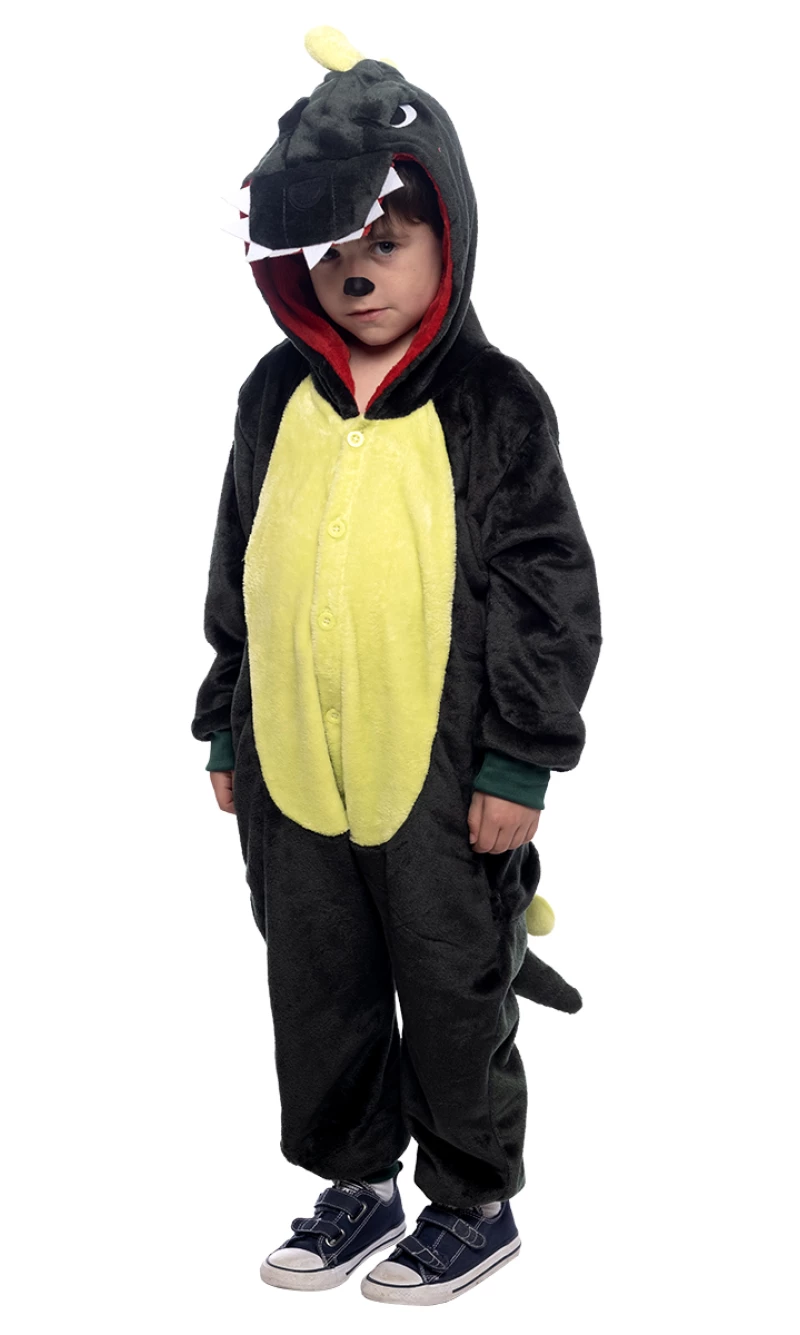 Dino Onesie Costume - Age 3 to 4 Years