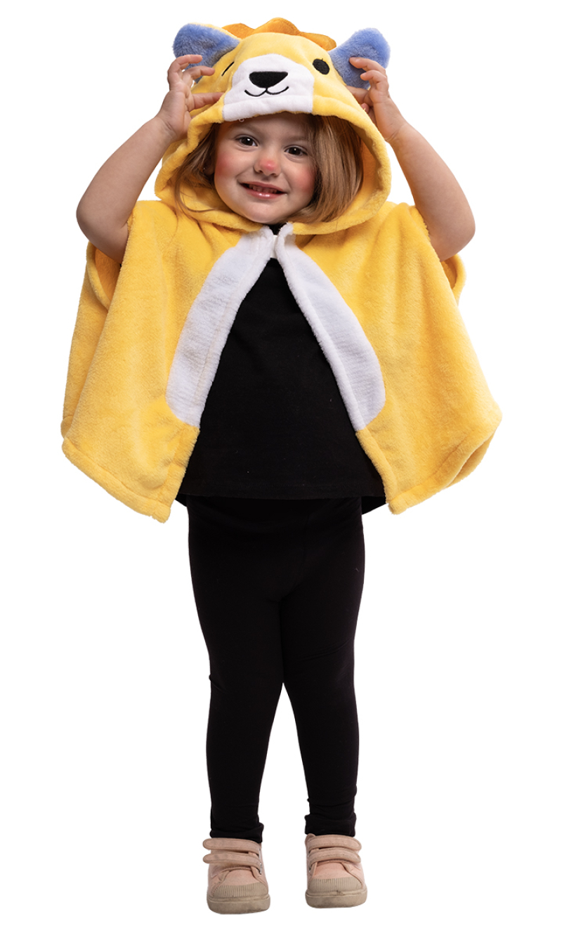 Super Lion Costume Cape & Hood - Age 2 to 3 Years