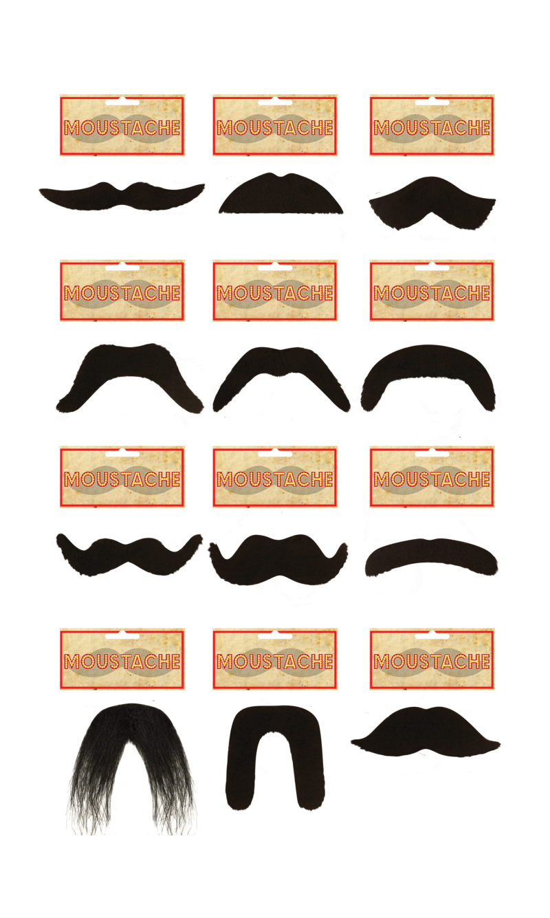Fake Moustache (Assorted Styles)