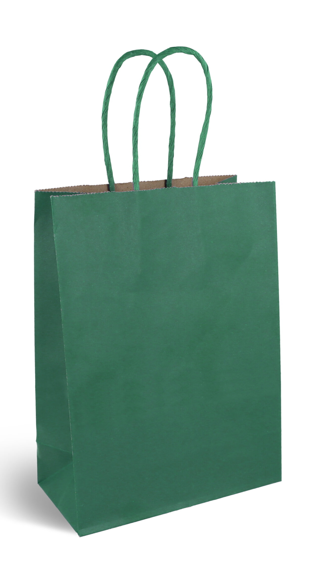 Party Paper Bag With Handles (120GSM) Dark Green – 16x22x8cm