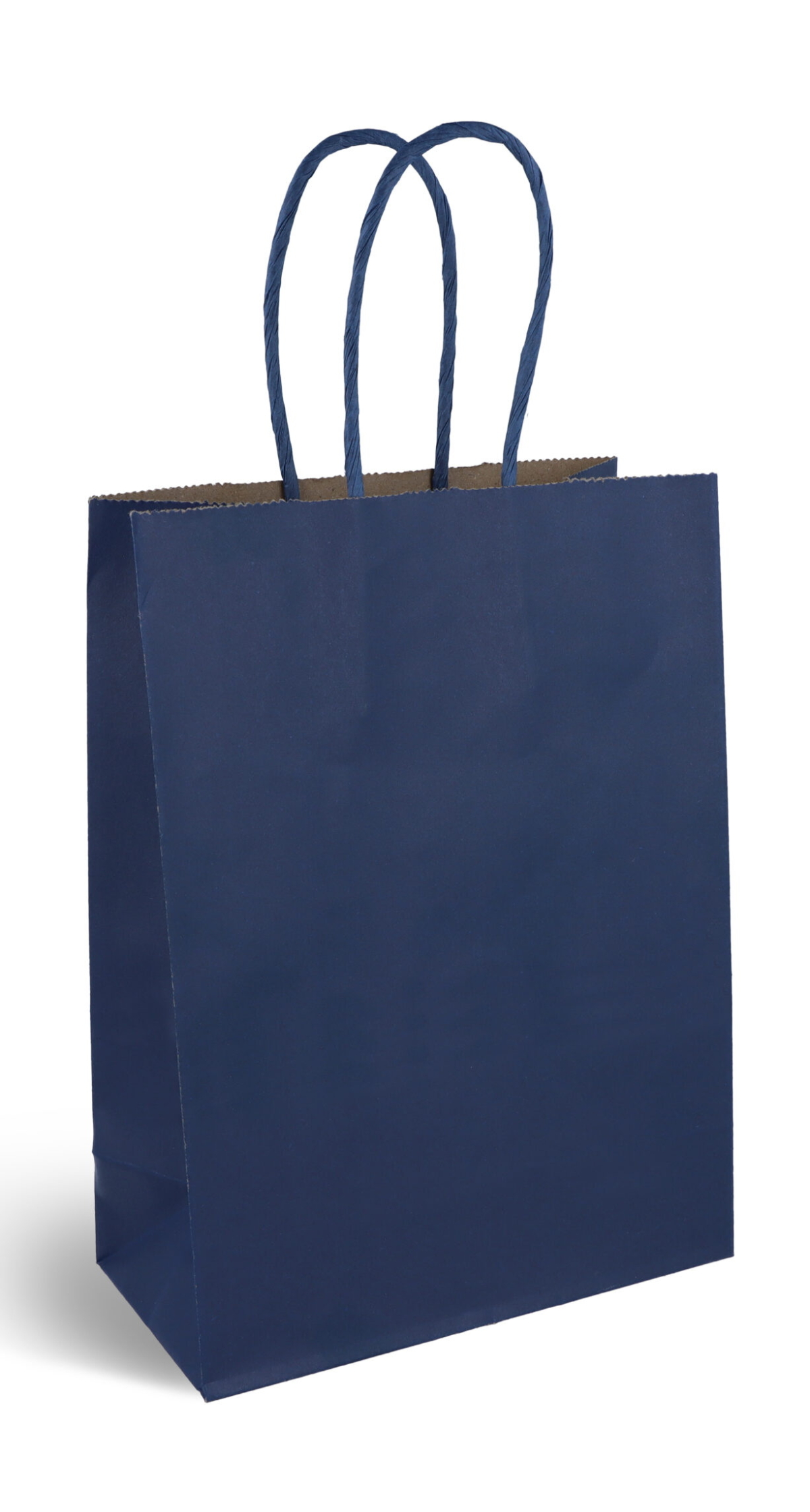 Party Paper Bag With Handles (120GSM) Navy Blue – 16x22x8cm