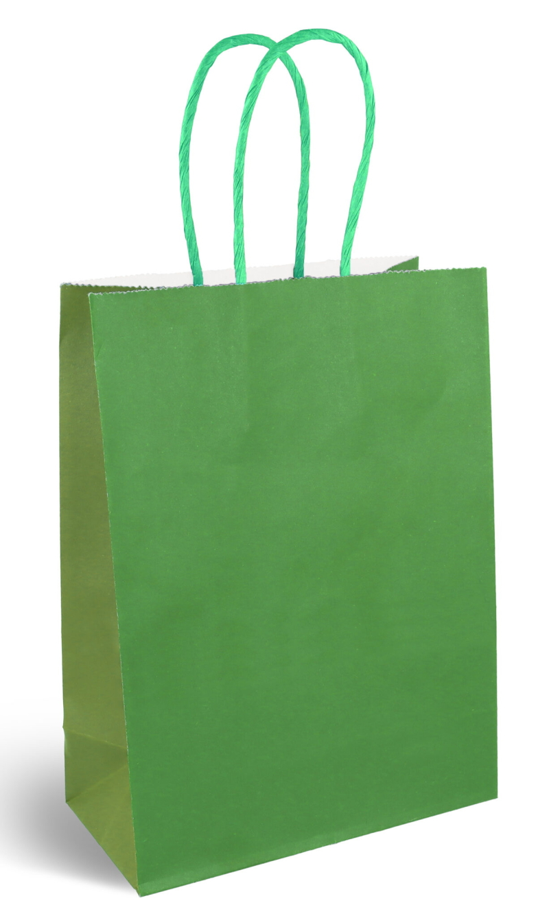 Party Paper Bag With Handles (120GSM) Green – 16x22x8cm