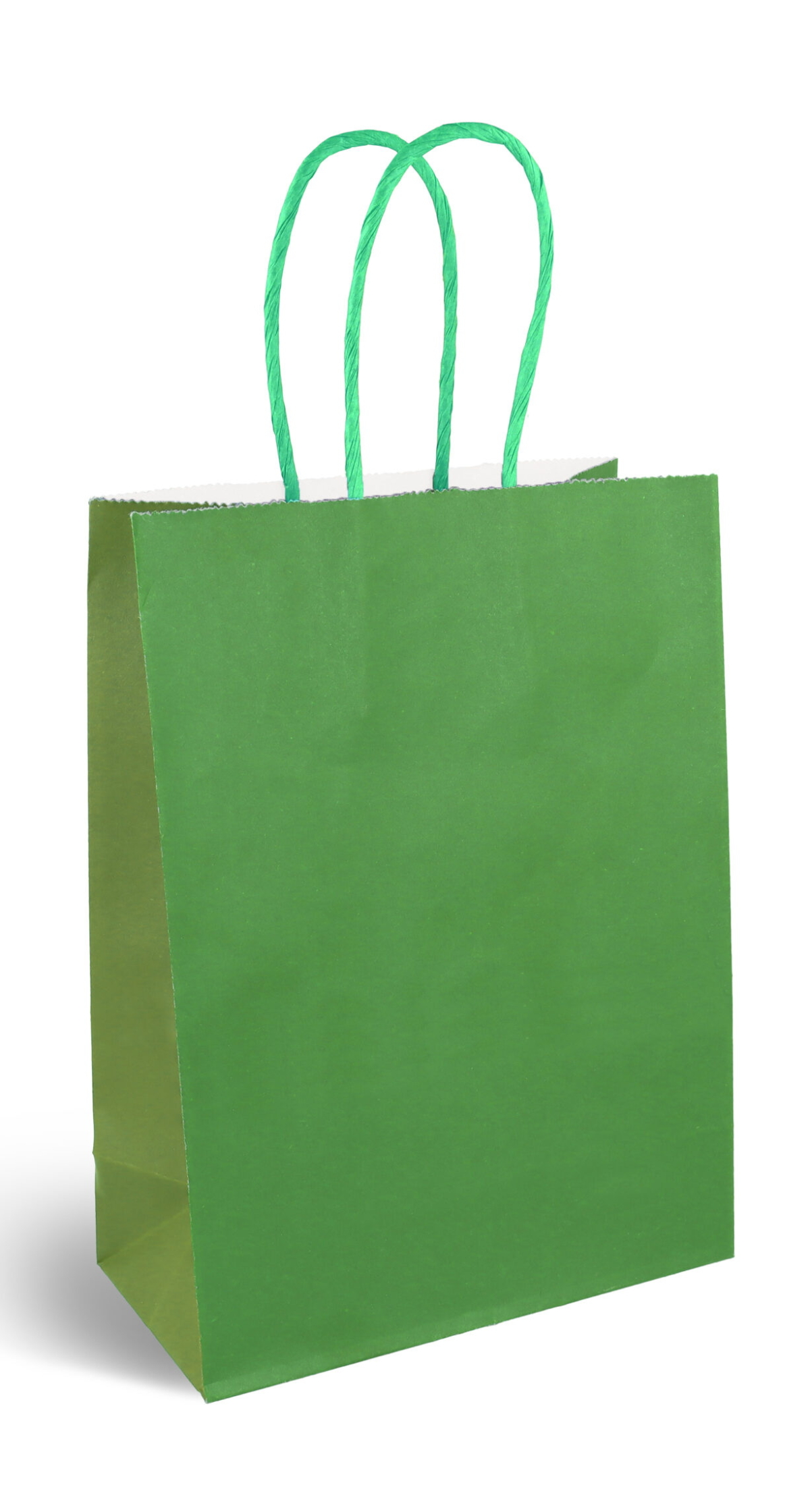 Party Paper Bag With Handles (120GSM) Green – 16x22x8cm